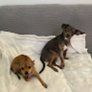 Meet your Posher, Jeannette